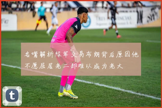 名嘴解析绿军交易布朗背后原因他不愿屈居老二却难以成为老大