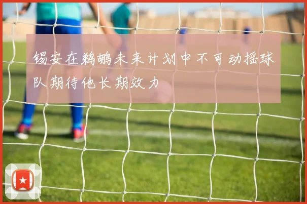 锡安在鹈鹕未来计划中不可动摇球队期待他长期效力